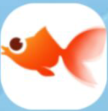 火鱼快讯app是真的吗